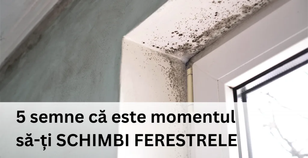 Colț de fereastră cu mucegai și titlul „5 semne că este momentul să-ți schimbi ferestrele”